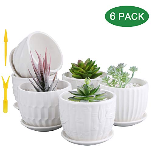 Mini Ceramic Planters, Brajttt 4 Inch Cylinder Ceramic Plant Pots with Connected Saucer
