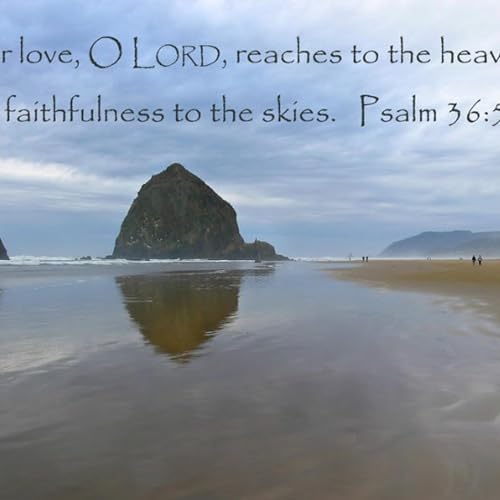 1 Year Audio Bible Podcast || Your Steadfast Love (Feb 17, 2026)