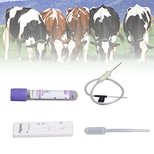 Image of for Cow Pregnancy Test Pregnant Pregnancy Test Kit Pregnancy Test Card for Dairy Cow Livestock Cow Pregnant Test Paper Pregnancy Cattle Cattle Farm