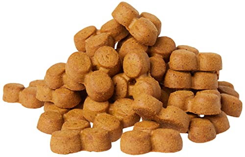 Image of Amazon Brand - Wag Expedition Human Grade Organic Biscuits Dog Treats, Non-GMO, Gluten Free, Sunflower Seed Butter, 10oz