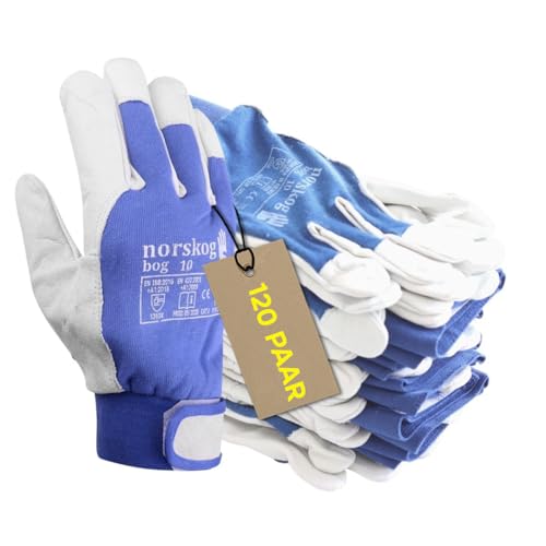 boggi handschuhe norskog BOG - 120 Paar - Leder Arbeitshandschuhe Ziegenleder; für LKW-Fahrer, Lagerhaus, Gartenarbeit, Landwirtschaft, Heimwerkerarbeiten Bauberufe; Maschinenführer - Gr. 6 bei Günstiger Preis Category:E Bike_Shimano XT Disc 203/180 mm Maximum grip – Because Color:Pink / White HP OmniBook 3 16