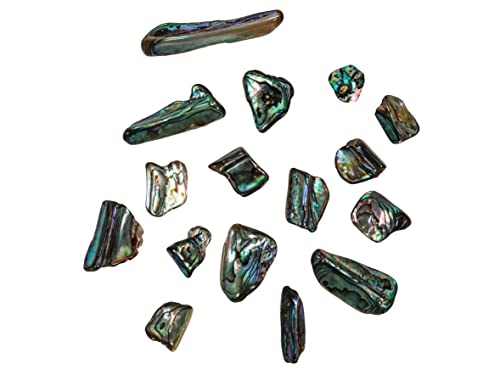 Image of 1 /4 Pound of Highly Polished Paua Abalone Shell Nuggets: 20-50mm (565-TNHP-4)