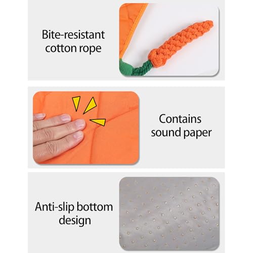 Tapis de lit à gratter pour animaux : offrez du bonheur à votre chat - 4