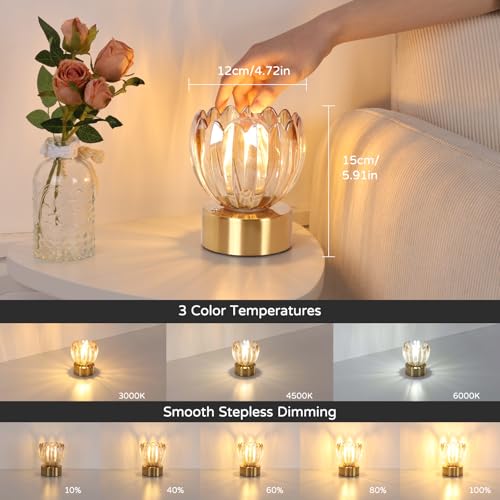 Image of Shenmoyl Cordless Small Table Lamp with 5200mAh Battery & Touch Control, Battery Operated Tulip Table Lamp with 3 Colors, Rechargeable Mini Table Lamps for Bedsides, Bedroom, Nightstand (Amber)