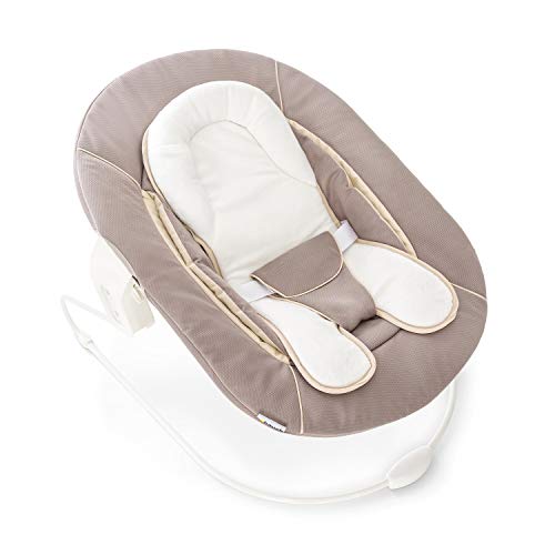 Image of Hauck Alpha Bouncer 2 in 1