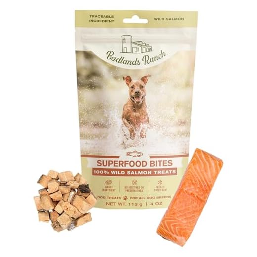 BADLANDS RANCH by Katherine Heigl – Superfood Bite Freeze-Dried Raw Wild Salmon Dog Treats – High Protein Single-Ingredient Snacks for Training, Rewards & Daily Wellness