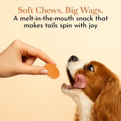 Image of PETS EMPIRE O'Dog Chicken Circular Chips, Healthy Dog Treats, Chewy Dogs Bites for Training and Feeding, Made with Real Chicken, Non-Vegetarian Pup Snacks for Dogs, Puppies - 100g