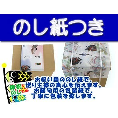 Amazon | 【メルヘン鯉のぼり】【フジサン鯉】庭園用鯉のぼりセット 3m
