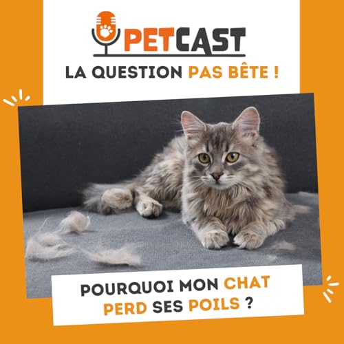 Pourquoi mon chat perd ses poils ?