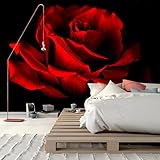 GLWYHY - Visual 3D Beautiful Bedroom Decoration Mural with Large red Rose Wallpaper on Black Background（Non-self-Adhesive Wall Stickers）