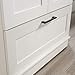 Sauder HomePlus Wardrobe/Storage Cabinet, Spacious Hidden Storage, Wardrobe Armoire, 29.1x20.9x71.2 - Soft White Finish