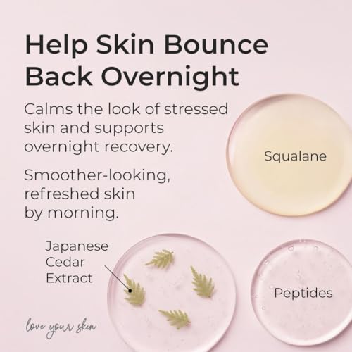 Image of Simple Plan Hydrating Night Cream with Ceramides & Hyaluronic Acid, Anti-Aging Face Moisturizer for Dry & Sensitive Skin, Nourishing Overnight Face Cream for Women & Men, 50 ml