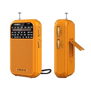 XHDATA D220 Radio