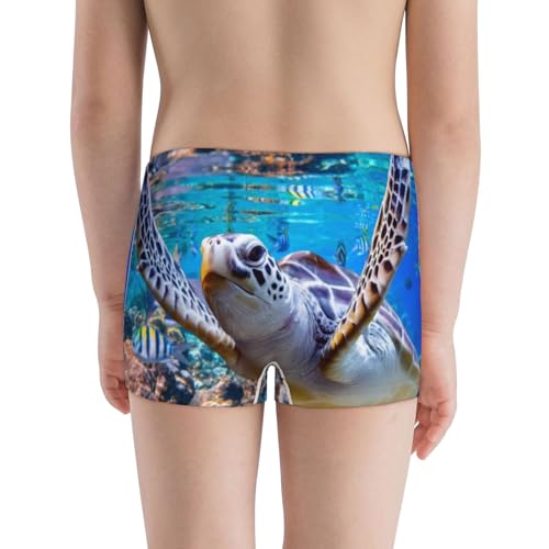 Boys' Cotton Boxer Brief Soft Underwear-Sea Turtle Swims3