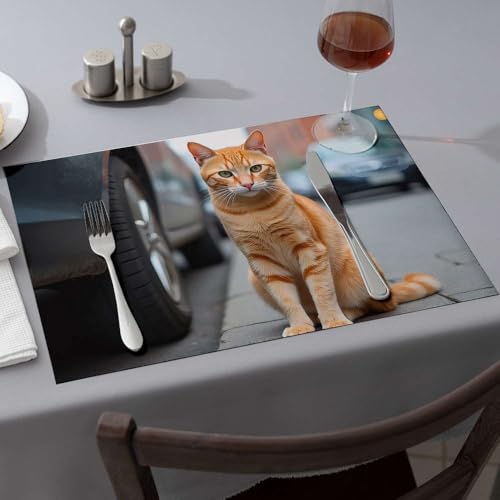 Set de table chat roux sur trottoir lot de 6 pièces imperméables - 2