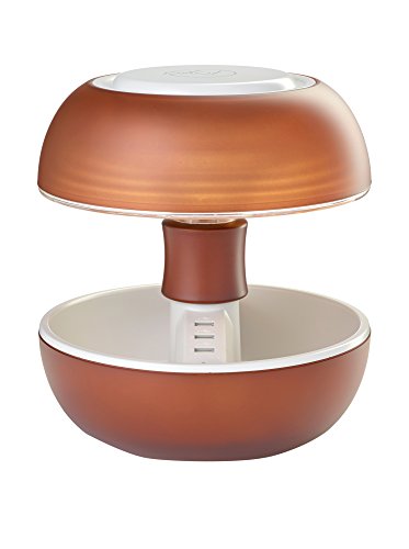 JOYO Cacao