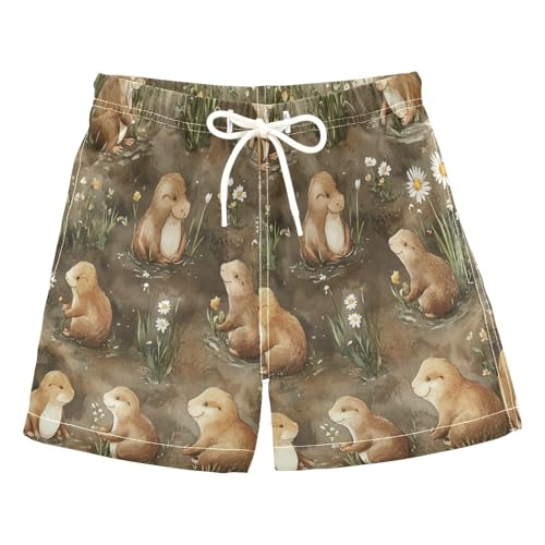 Boccsty Daisy Flower Cute Brown Sea Otter Boys Swim Trunks Baby Kids Swimwear Summer Toddler Beach Board Shorts 2T