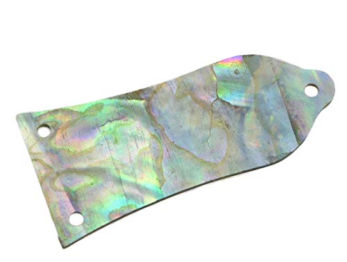 Dopro Pure Custom Made Natural Abalone Shell Guitar Truss Rod Cover With 3 Holes Fits Epiphone Lp Les Paul #TOP3