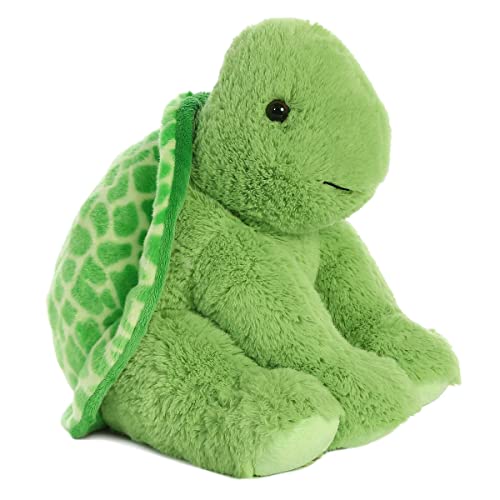 Aurora - 14" Turtle #TOP1
