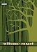 Witches' Forest (Adventures of Duan Surk, Vol. 1)