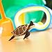 Safari Ltd. Green Sea Turtle Figurine - Detailed 4