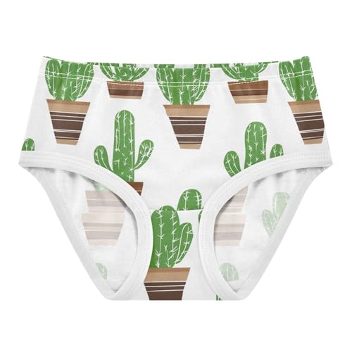 Wusikd Cactus Pots Girls' Underwear Cotton Girls Briefs Soft Toddler Underwear 2T