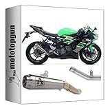 tubo de escape homologado open, nichrom, fondo acero, homologado ruido - open, repuesto originale, db-killer incluido y removible, pro-race, el kit de montaje se incluye junto con todos los componentes necesarios para la sustitución del repuesto. no se requiere ninguna modificación de los accesorios.,