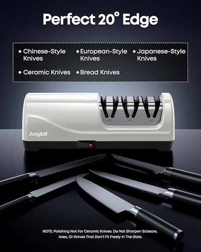 Professional Electric Knife Sharpener