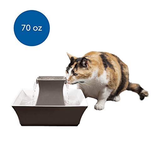 PetSafe Cat and Dog Water Fountain - Automatic Water Dispenser - Drinkwell Pagoda