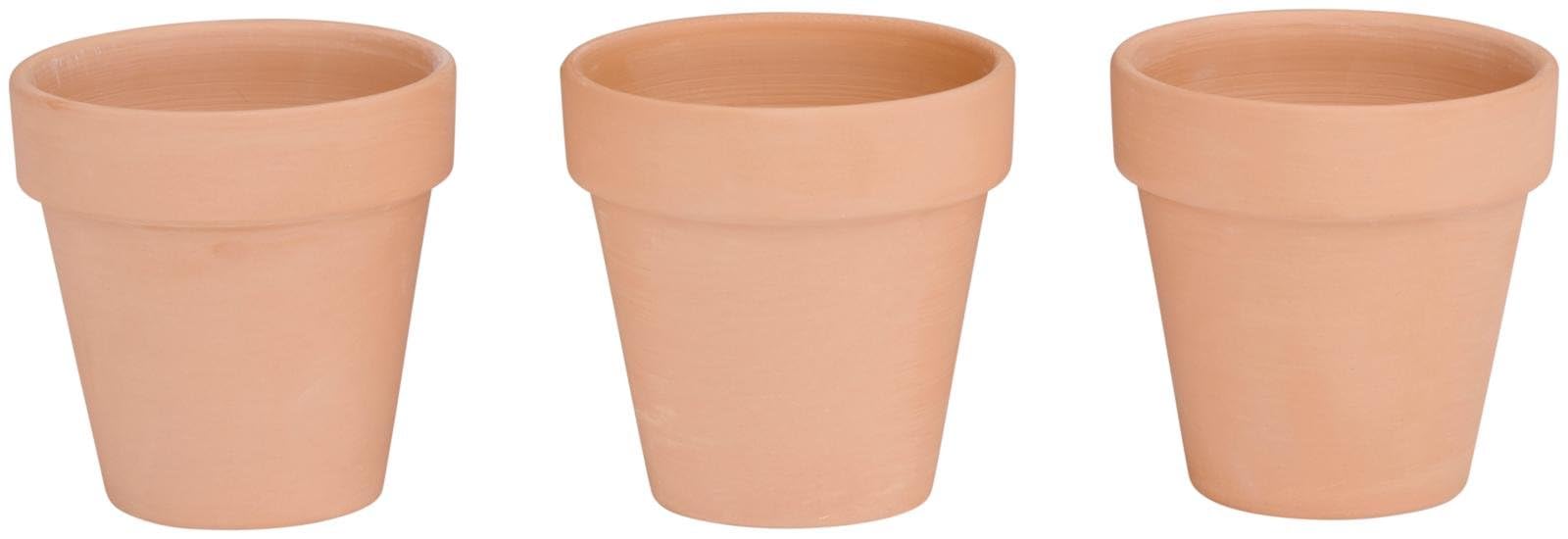 Muddy Hands 3 Pack Terracotta Plant Pots with Drainage Hole – Mini Clay Flower Pots for Indoor & Outdoor Plants, Herbs & Succulents – Breathable Garden Planters for Healthy Root Growth