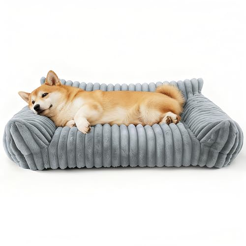 CAIEJSAEN Katzenbett Flauschig, Hundekorb Waschbar, Hundesofa Kleines Katzenkorb für Hunde und Katzen, Hundebett Grau, 60x45x20cm