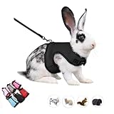 Guinea Pig Harness and Leash, Rat Harness Leash Set Eescape Proof Walking Training for Small Animal Pets,Black S