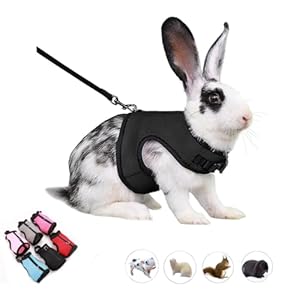 Ferret Harness and Leash,Young Rabbit Harness and Leash Set Eescape Proof Mesh Walking Training for Rat Hamster Ferret Squirrel Small Animal Pets Harness,Black M