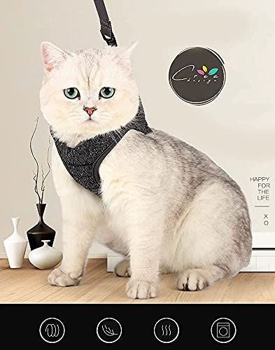 Crea CLEA- Pettorina per gatti ultra leggera e confortevole,con guinzaglio. (M, Nero)