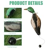 GOMETY Enten Dummy Stoßstange, Mallard Mimics Duck Stoßfänger Spielzeug, Dummy Hundetraining Trainer Für Falsche Enten, Jagdhundezubehör Für Das Training Der Jagdhund Retriever Fähigkeiten