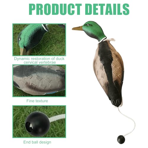 GOMETY Enten Dummy Stoßstange, Mallard Mimics Duck Stoßfänger Spielzeug, Dummy Hundetraining Trainer Für Falsche Enten, Jagdhundezubehör Für Das Training Der Jagdhund Retriever Fähigkeiten
