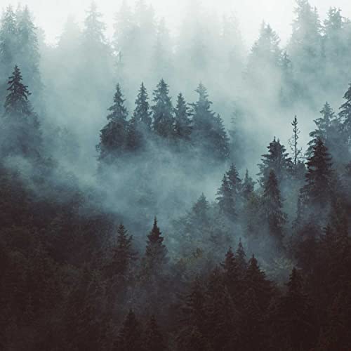 Sid Sylvan's Audio Adventures Podcast Por John Glasfeld arte de portada