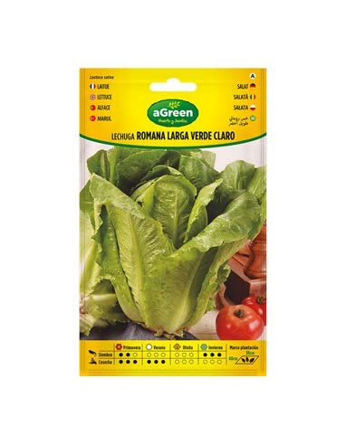 Semillas lechuga romana larga verde agreen 000440bolsh graine potager