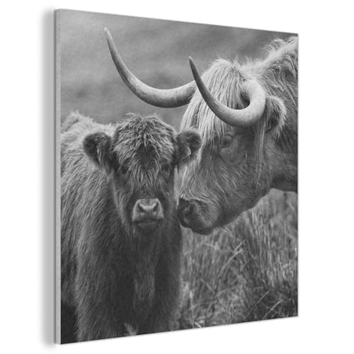 Décoration murale en feutre MuchoWow 60x60 cm tableau highlander