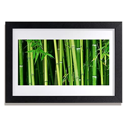 Affiche encadrée 30x20 cm déco murale nature et cadre photo paysage bambou salon