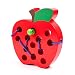 Kizh Wooden Lacing Toy Big Apple Threading Fruits Montessori Activity Learning Travel Game Early Learning Fine Motor Skills for Baby Toddler and Kids