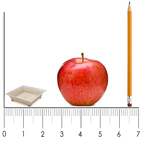 720-Pack-Tiny-Square-Black-Plastic-Tray-Mini-Appetizer-Plates-for-Party-Mini-Serving-Tray-Small-Appetizer-Serving-Sauce-Dish-Black-Disposable-Dessert-Plates-for-Weddings-and-Events-CMJJ