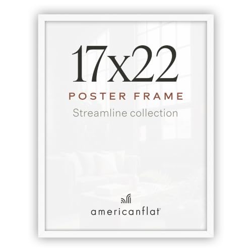 Americanflat Bilderrahmen, 43,2 x 55,9 cm, mit poliertem Plexiglas, Streamline-Kollektion, dünner Rand, Bilderrahmen für Wanddekoration… – Ansicht 1