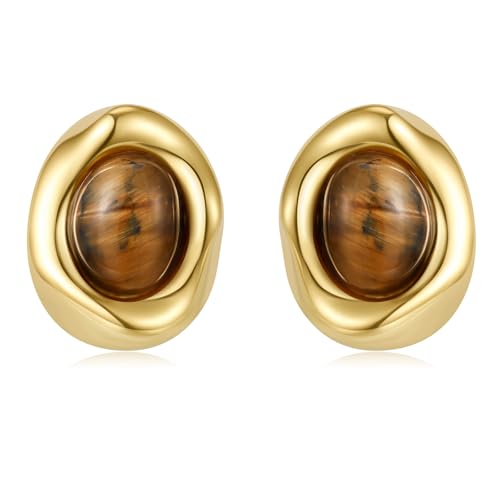 Brown Earrings Circle Chunky Earrings for Women Trendy 18K Gold Plated Stud Hoop Stainless Steel Hypoallergenic