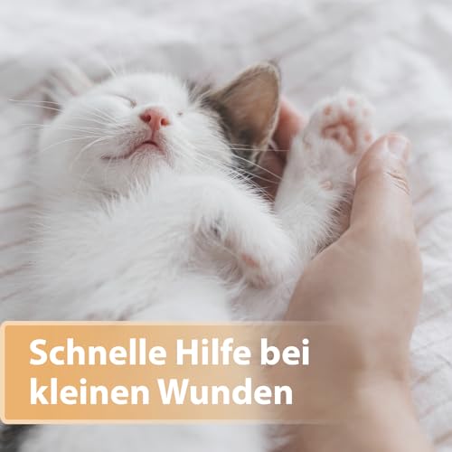 Felisept Wundspray für Katzen 75ml - Wundspray Katze zur Reinigung von Wunden, Haut und Scheimhäuten - Wundpflege Katze - Einfach in der Anwendung und schmerzfrei für die Katze