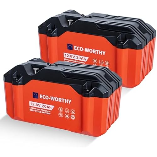 ECO-WORTHY 2 Pack Portable 12V 20Ah Lithium Iron Phosphate DEEP Cycle Battery with BT 5.1, Built-in BMS with Low Temp Cutoff, Perfect for Outdoor Camping Fishing RV Marine Trolling Motor Fishfinder