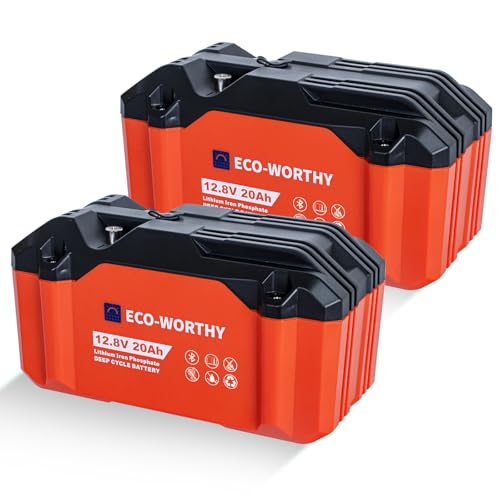 ECO-WORTHY 2-Pack 12V 20AH LiFePO4 Battery with BMS