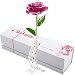Deep Pink Gold Rose, DEFAITH 24K Gold Trimmed Long Stem Real Rose with Moon-shape Rose Stand. Last a Lifetime. Best Anniversary Gift.