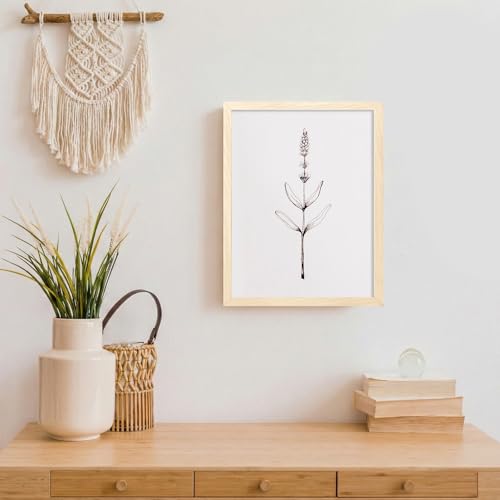 Image of LaVie Home 8.5x11 Picture Frame for Wall Display, 8.5x11 Oak Picture Frame with HD Plexiglas, 8.5 x 11 Poster Frame 1 Pack, Display Frame for Vertical or Horizontal, Classic Collection