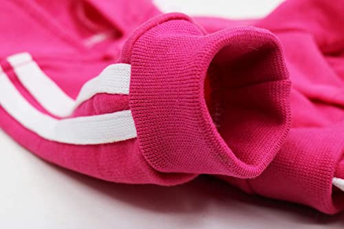 Sweat à capuche pour petit chien et chiot : pull rayé à 4 pattes confortable - 5